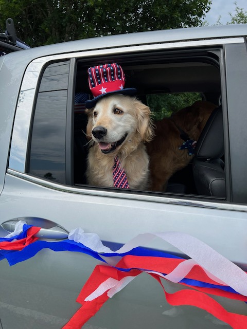 July 4 2026 parade in South Hero; dog in flag hat looking out window