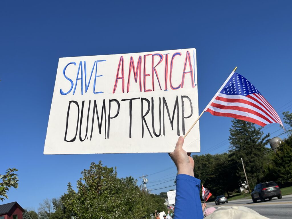 Protest Sign Save America, Dump Trump